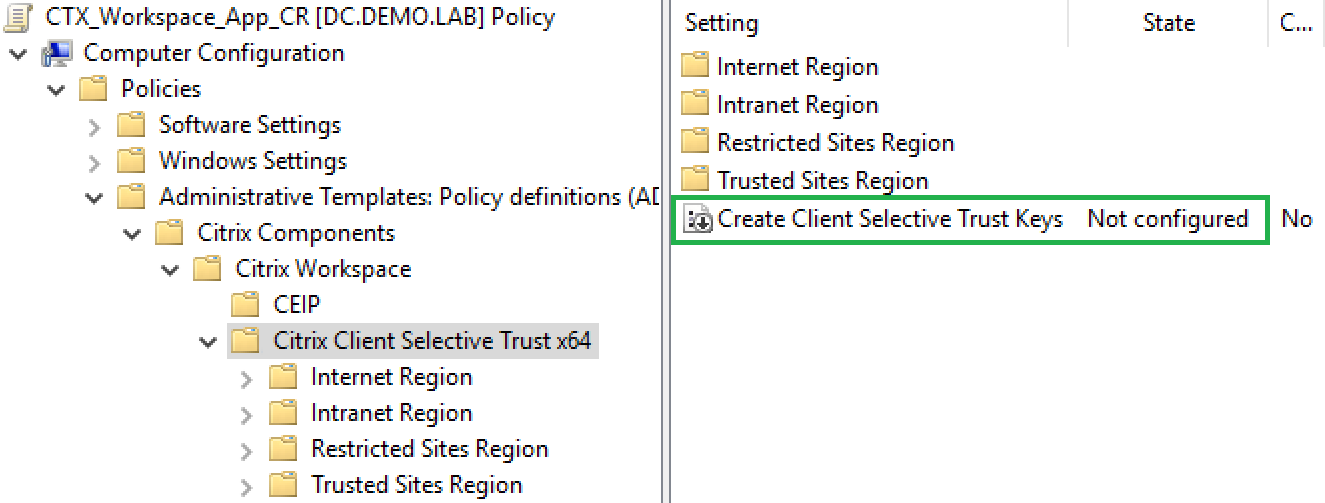 03 Citrix Client Selective Trust