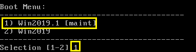 204 vDisk Versionierung