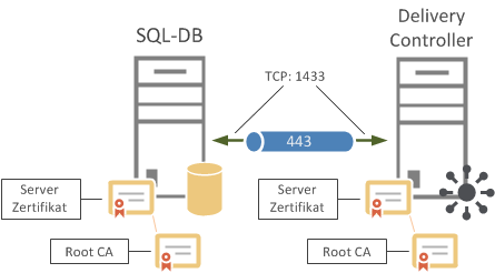 SQL 443 DDC