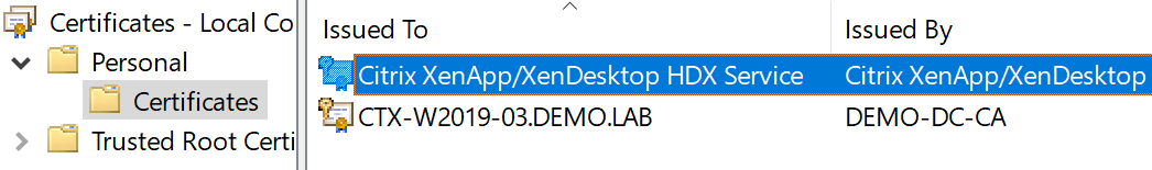 07 Citrix XenApp XenDesktop HDX Service Cert