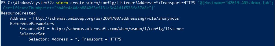 203 winrm delete winrm config Listener Address Transport HTTPS