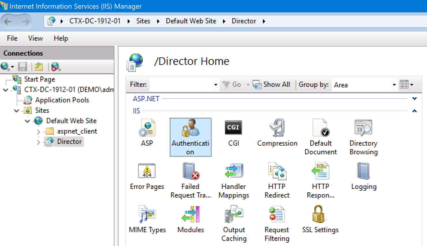 SSO Citrix Director 01
