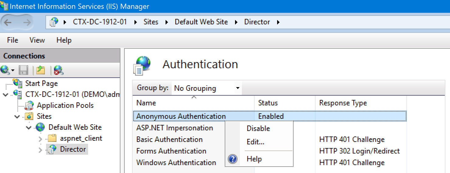 SSO Citrix Director 02