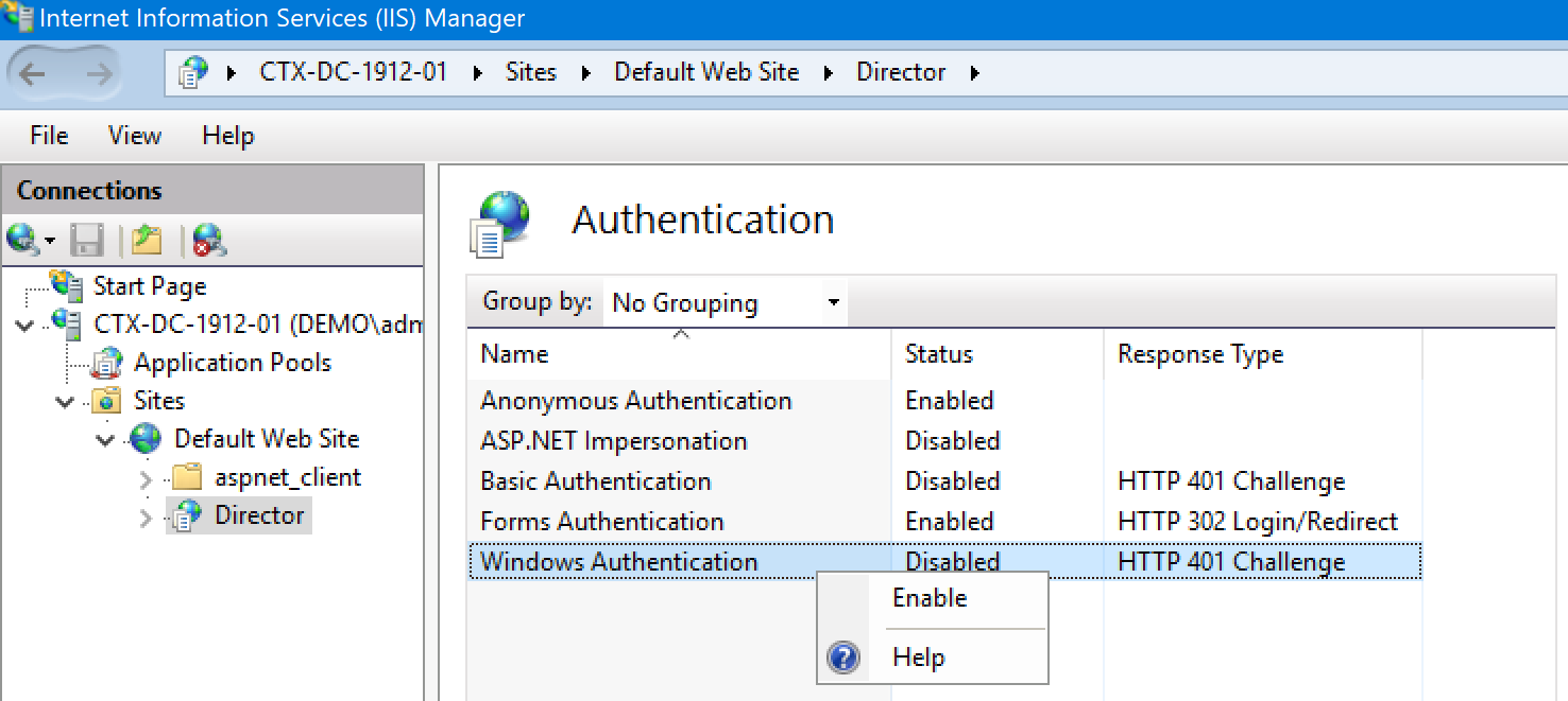 SSO Citrix Director 03