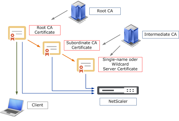 SSL Chain of Trust