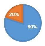 80 20