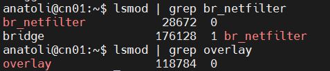 001 grep overlay br netfilter